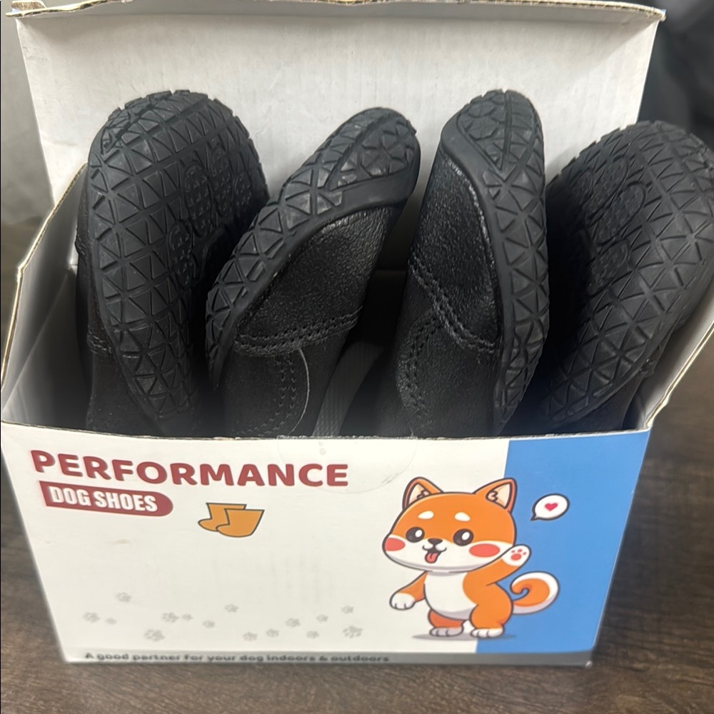 Black Dog Shoes